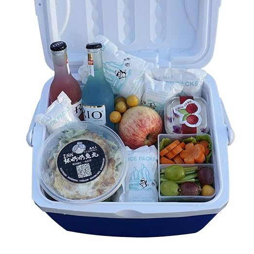 Small Shipping Dry Ice Packs Shipping Cold Packs for Frozen Food, 48 Packs Bulk Dry Ice Sheets for Coolers Reusable, Shipping Ice Packs Long Lasting Shipping Cold Ice Pack Sheets Keep Food Drink Cold