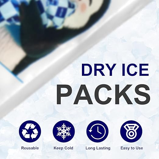 Mr.Ice Dry Ice Packs for Coolers, 8 Pack Ice Packs for Lunch Boxes Cold Packaging for Shipping Reusable, Long Lasting Shipping Cold Packs for Mailing, Newly Dry Ice Packets, Keep Food Drink Cool