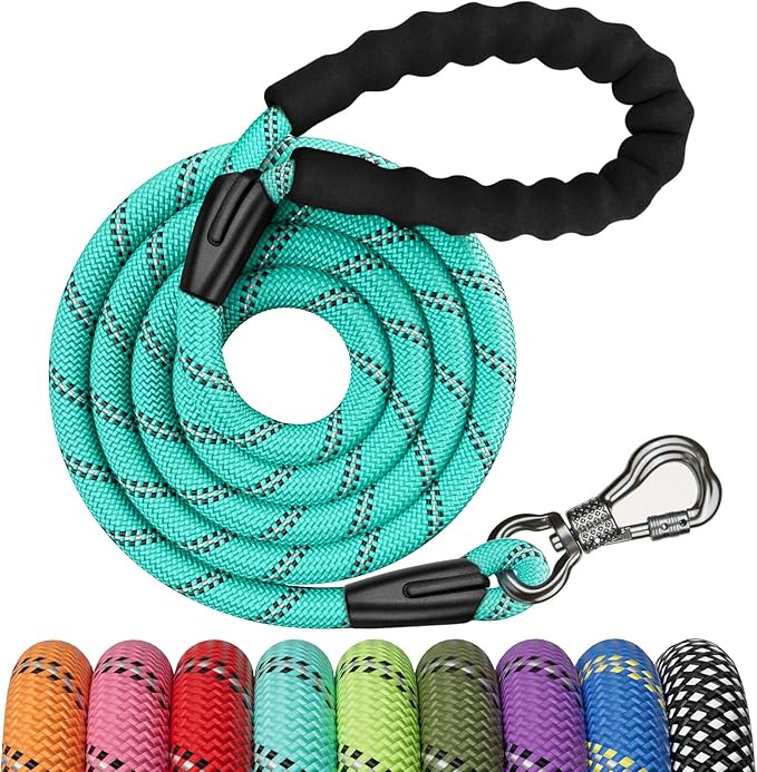 NTR 3FT Heavy Duty Dog Leash with Swivel Lockable Hook and Comfortable Padded Handle, Teal Rope Dog Leash for Small Medium Large Dogs Training, Playing, Camping, or Backyard