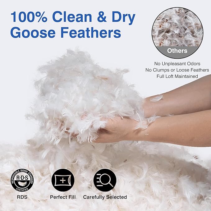 Goose Feather Pillow Queen Size Set of 2 - Down Hotel Bed Pillows for Sleeping, Soft 600 Thread Count Cotton Cover, Fluffy Support Surround Fill Polyester for Back, Stomach, Side Sleepers