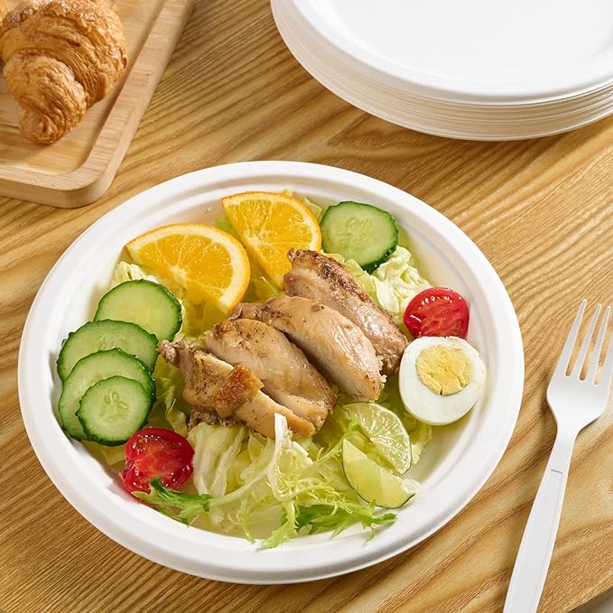 Vplus 150 Pack Paper Plates 9 inch 100% Compostable, Heavy-Duty Disposable Paper Plates Bagasse Natural Biodegradable Eco-Friendly Sugarcane(White)