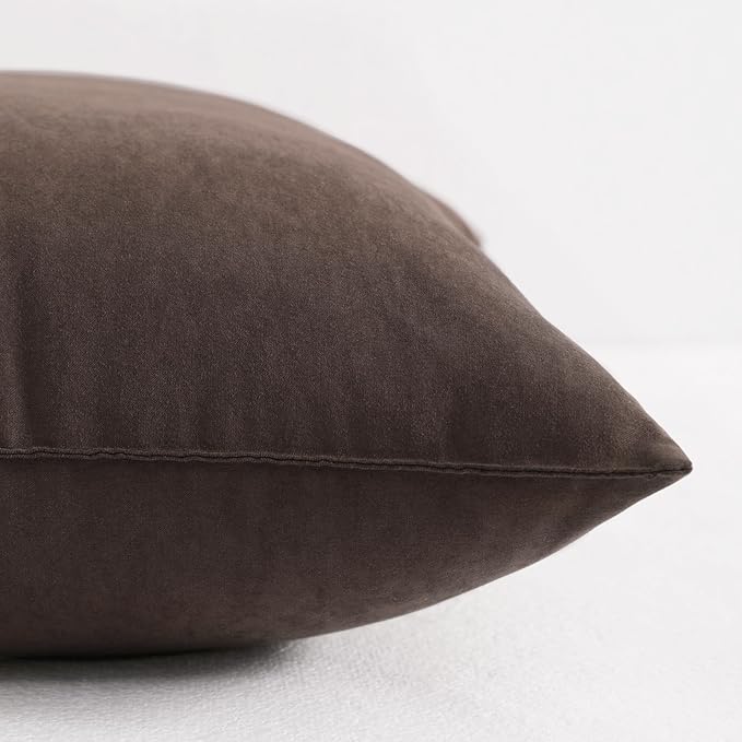 NTBAY Toddler Pillows, Down Alternative 13"x18" Pillows, Machine Washable - Soft and Breathable Travel Small Pillows for Sleeping, Ideal for Daycare, Crib, Cot, Dark Brown