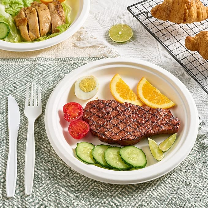 Vplus 150 Pack Paper Plates 9 inch 100% Compostable, Heavy-Duty Disposable Paper Plates Bagasse Natural Biodegradable Eco-Friendly Sugarcane(White)