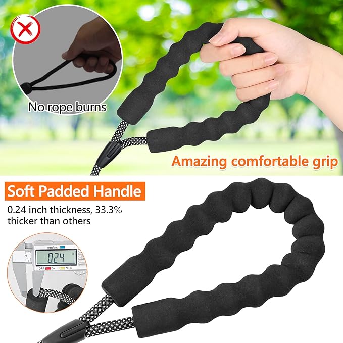 NTR Heavy Duty Dog Leash, 10FT Long Rope Leash with Swivel Lockable Hook, Reflective Threads and Comfortable Handle, for Medium and Large Dogs (Blue)