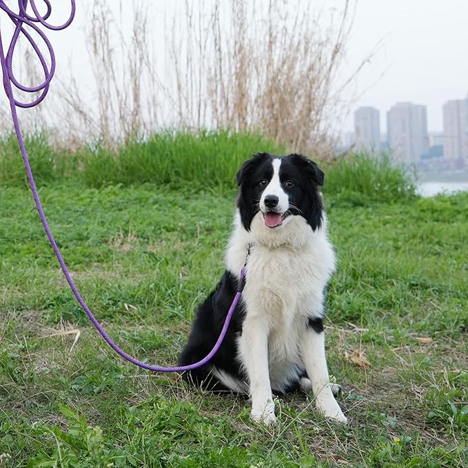 NTR 25FT Training Leash for Dog, Purple Rope Leash with Swivel Lockable Hook, Reflective Thread, Padded Handle, Dog Lead line for Walking, Hunting, Camping, Backyard for Small Medium Large Dog